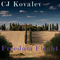 Freedom Flight
