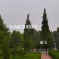 晋迪 - 从我孤身到成王
