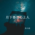 张小磊 - 月下慕思心上人