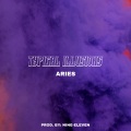 Aries - Typical Illusions (Explicit)