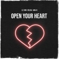 Open Your Heart