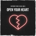 Open Your Heart