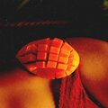 Ashley Smith、Dune Searching、Atlantic Fishermen、Lazuli Dream - Oceanic Vacation
