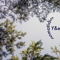 y、E - Somatidio