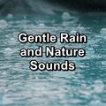 Gentle Rain and Nature Sounds