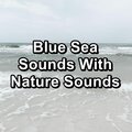 Studying Music、Sleeping Music、Sleep Music - Moderate Sea Sounds For Healthy Sleep New Age Music