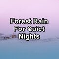 Deep Sleep、Sleep Baby Sleep、Nature’s Music - Moderate Rain and Nature Sounds For Babies to Relax and Rest