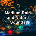 Deep Sleep Meditation、White Noise Baby Sleep、Asmr - Relaxing Rain with Alpha Waves in the Evening