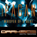 Ipagan - Bees in Space