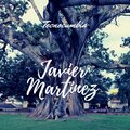 Javier Martinez - Un Soldado En El Cielo
