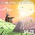 All I Ever Wanted (Jamie Williams Remix)