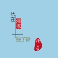 沈若 - 我在湘潭丢了你