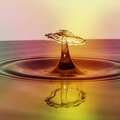 Sleep Sound Library、Nature and Rain、Sampling XL - Rain in a Barrel