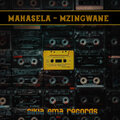 Mzingwane