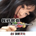 张凯 - 关公挥刀镇边疆