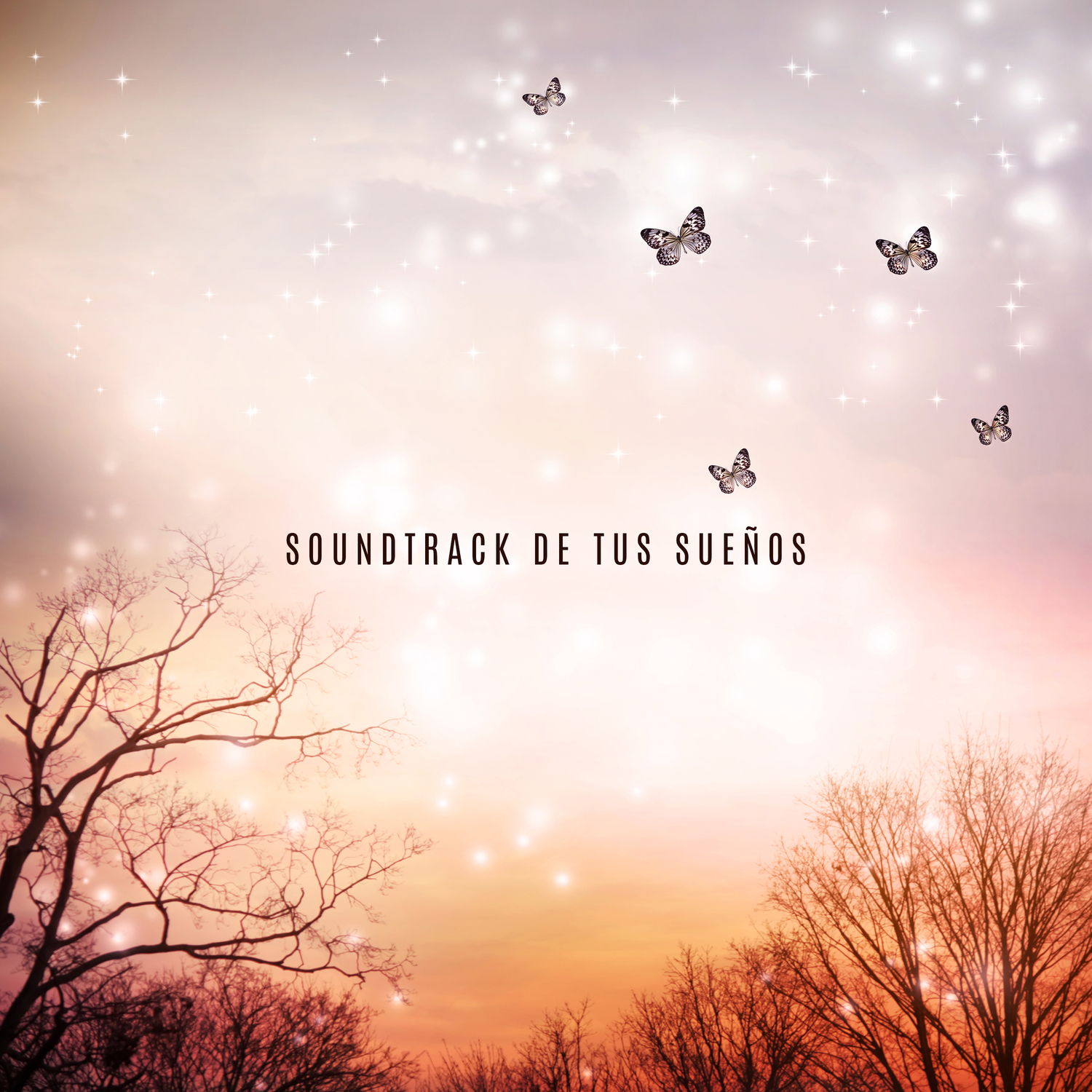 Rejean Paquin - The Sun