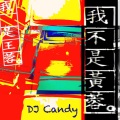 我不是黄蓉 (DJ Candy版)