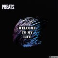 PBeats - Somebody
