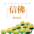 醋坛婷宝 - 信佛