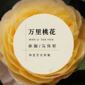 马伟轩、林御 - 万里桃花