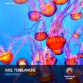 Axel Terblanche - Nocturnal