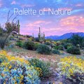 Loopable Rain Sounds - Springtime Showers