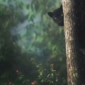 小奶瓶、绝世的陈逗逗 - 窗外的天气 (DJ版)