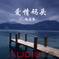赵东东 - 为情所伤
