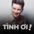 Tình ơi!