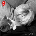 硬曲至上Fly Away