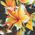 Cruise Control、Groovy 69、Michael Kennedy、Instant Learner、Hip Dulcet - Eternal Escape