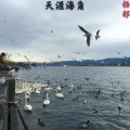 杨邪 - 迷幻咚鼓 (Remxi)