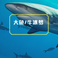 牛冰梦 - 隔岸 (DJ版)
