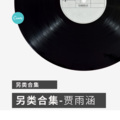 贾雨涵 - 夜巴黎