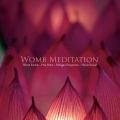 VAGALLY VAKANS - 741Hz + Pink Noise + Womb Sounds +