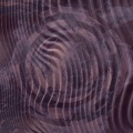 Shiny Vibes、Ashley Stevens、Top Chronicles、AMV Vibes、THC Project - Moving Gods