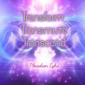 Transform Transmute Transcend