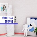 马伟轩 - 你如白马踏京城