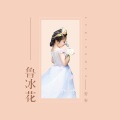 鲁冰花