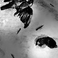 Alex Vargas - Thomas the Bird (Remix)