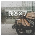 花晓寅 - 梦幻丽莎发廊 (DJ版)