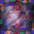 Rhine Tigers、Base De Base、8 Bit Soundtrack、Ashley Stevens、Tasty Eternal - Oceania Misunderstanding