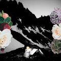 Focusity、michael smith、Blueprint Vybez、Redwood Feathers、Calm Solitude - Belgium Creators