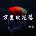 MC沈柔 - 万里桃花落