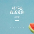 马伟轩 - 对不起我还爱你