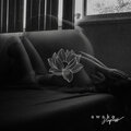 Awake - Fragile Lives