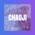 枫正豪 - 红尘刺客