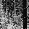 Minor - Burial