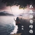 九决 - 不想治愈的伤