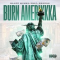 Burn Amerikkka (Explicit)